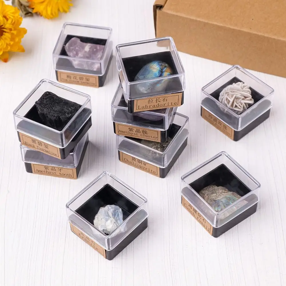 Multicolor Natural Mineral Specimen Rough Gemstone Geography Teaching Crystal Ore Box Home Decor Irregular Shape