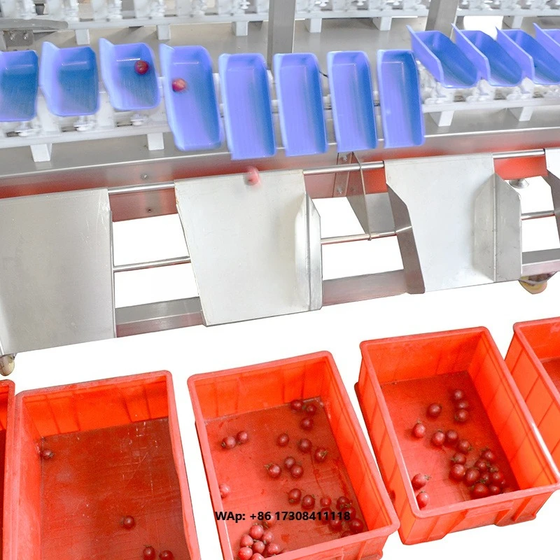 Strawberry Pomegranate Nuts Fruits Sorter Turntable PLC Weighing Screening Vegetables Seafood Separator Grading Machinery