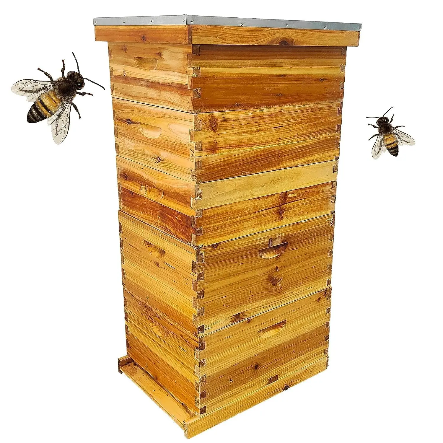 

5 Layer Langstroth Beehive 100% Beeswax Coated 2 Deep Box 3 Super Without Frames, Custom