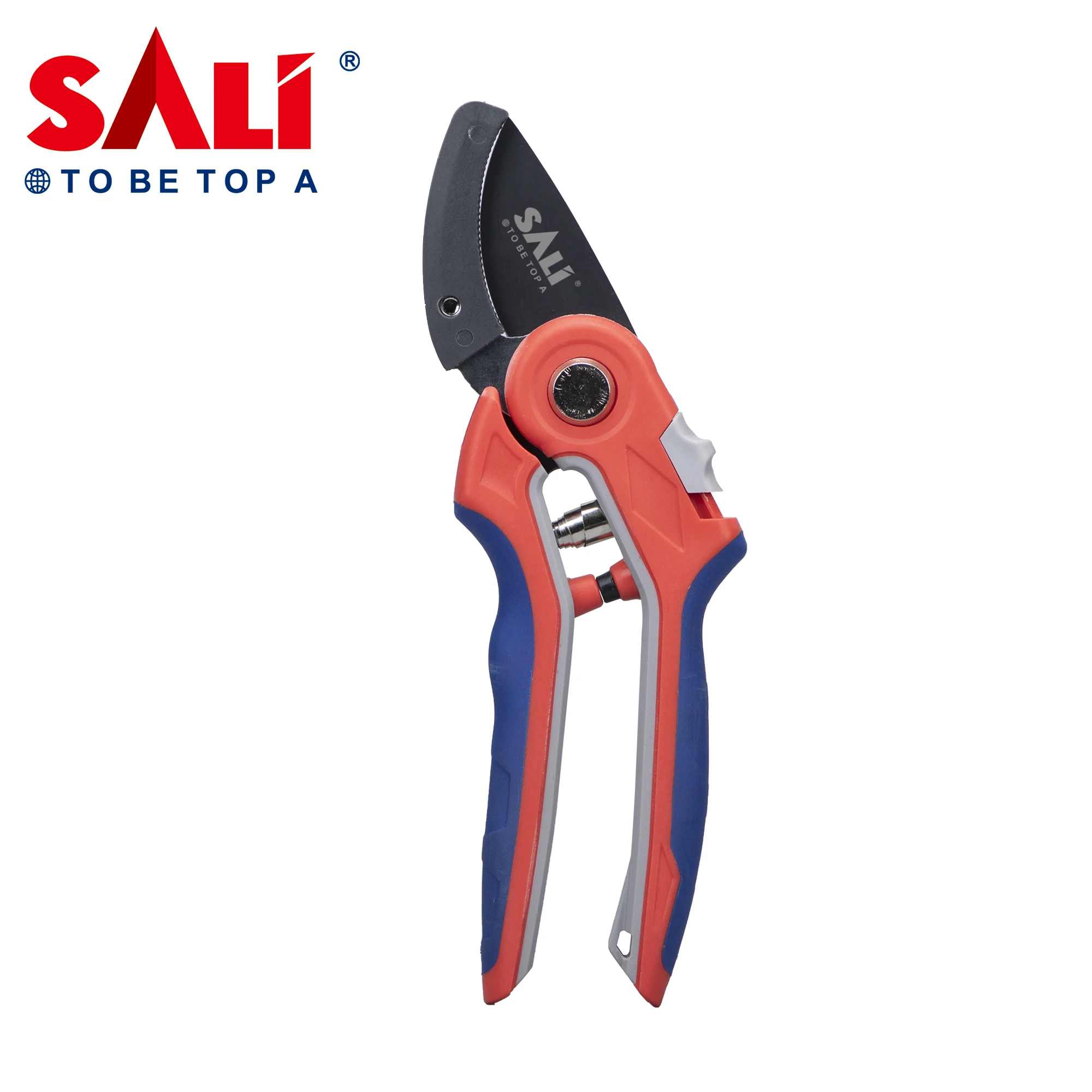 SALI Garden Pruning 6.4
