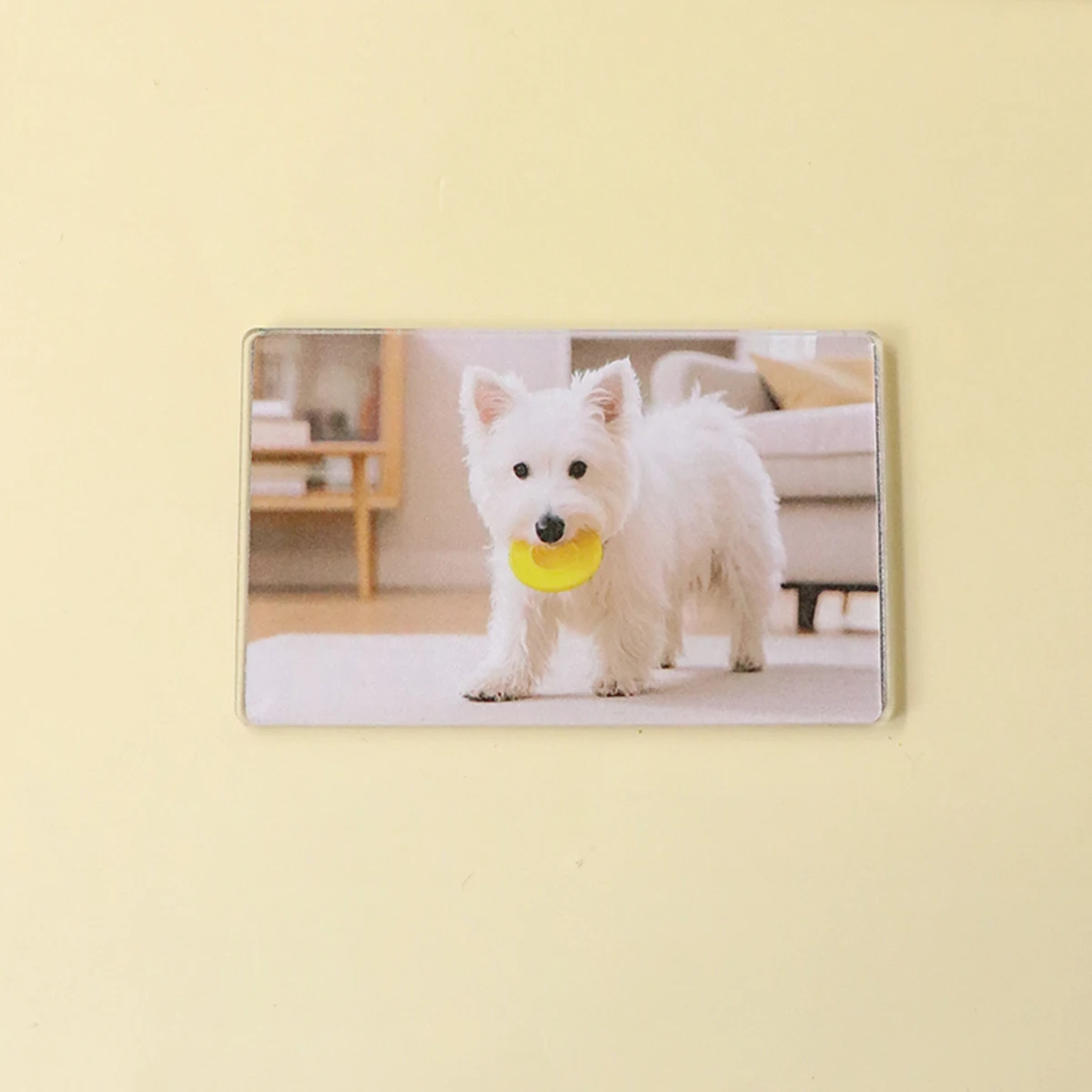 Aangepaste koelkastmagneten - met foto, gepersonaliseerde Valentijnsdag koelkastmagneet, aanpasbare grappige koelkastmagneten