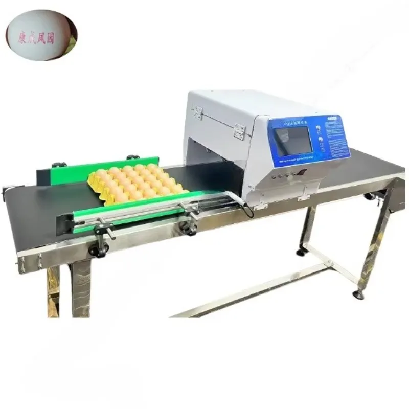 Customized Integrated Cabinet Egg Inkjet Coder Automatic Egg Carton Date Logo Printing Equipment For Poultry Farm