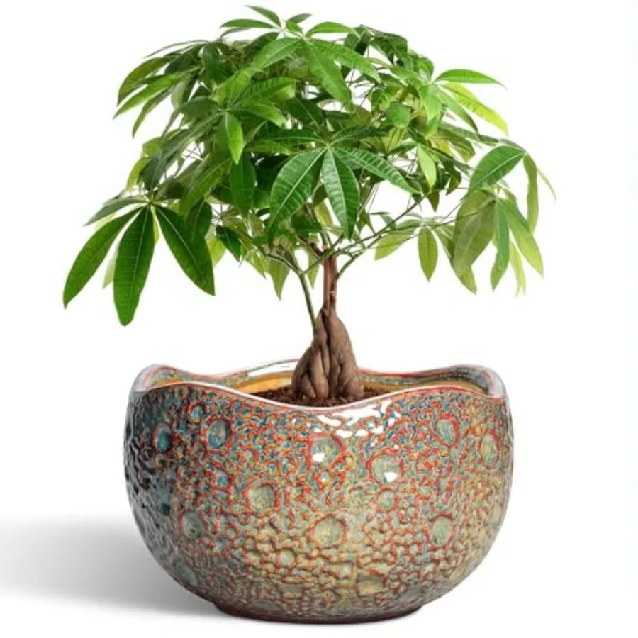 

10 ch Plant Pot - Ceramic Planter with Draage Hole and Plug Unique Round Planters for door Outdoor Plants Decorative Planters H