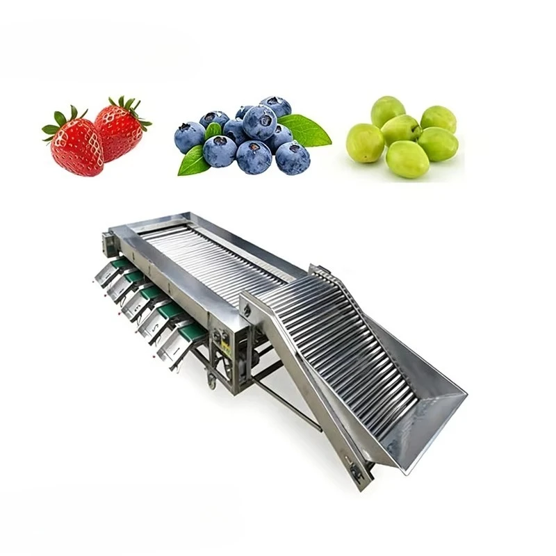 Fully Automatic Citrus Fruit Mango & Vegetable Grading Washing Sorting Machine with 304 Stainless Steel High Capacity