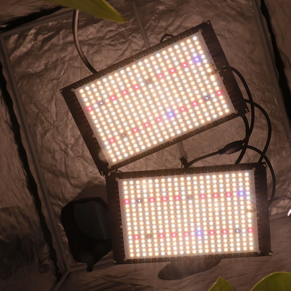 Imagem -03 - Quantum Grow Light Lamp Espectro Completo Placas Phytolamp para Plantas Hidroponia Meanwell Driver ir uv 120w 240w Samsung-lm301h