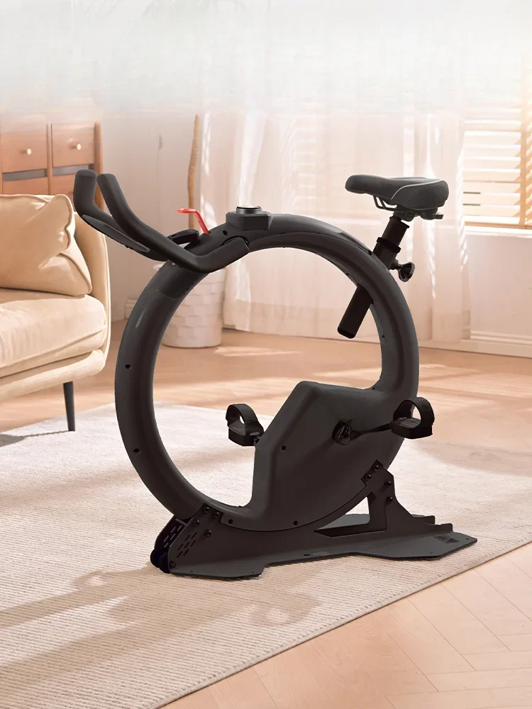 Dynamic Cycling Home Silent Fitness Equipment Intelligent Indoor Limited Edition