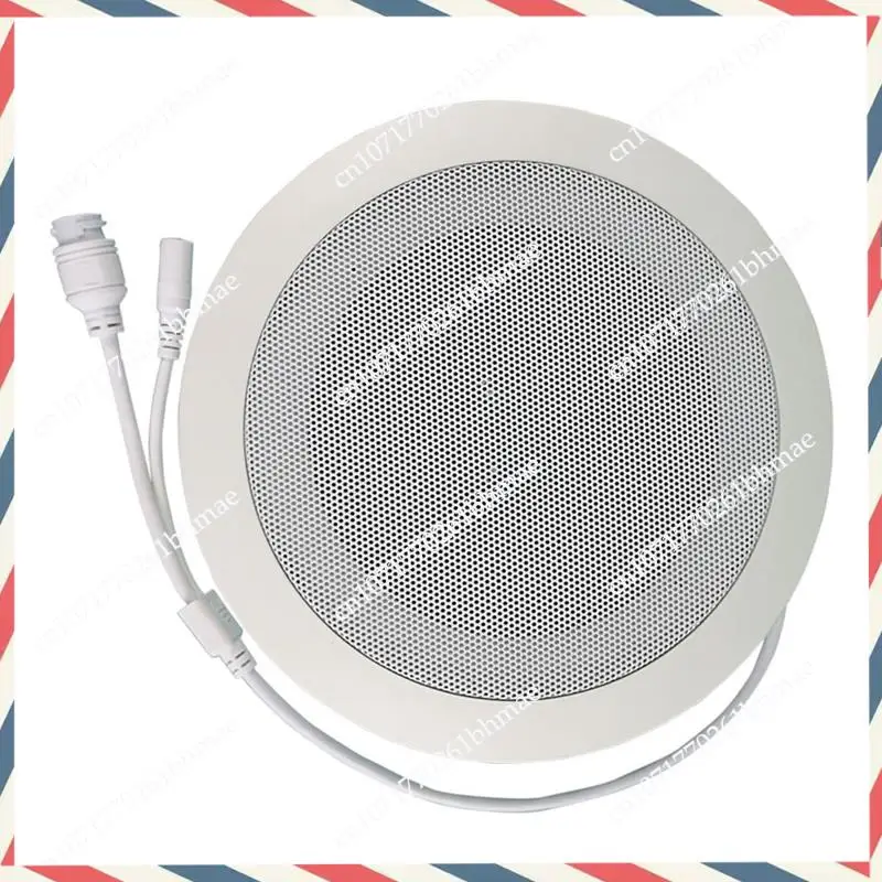 -A21Z 10W شبكة IP نظام العناوين العامة الصوت ABS سقف المتكلم POE أو DC12V