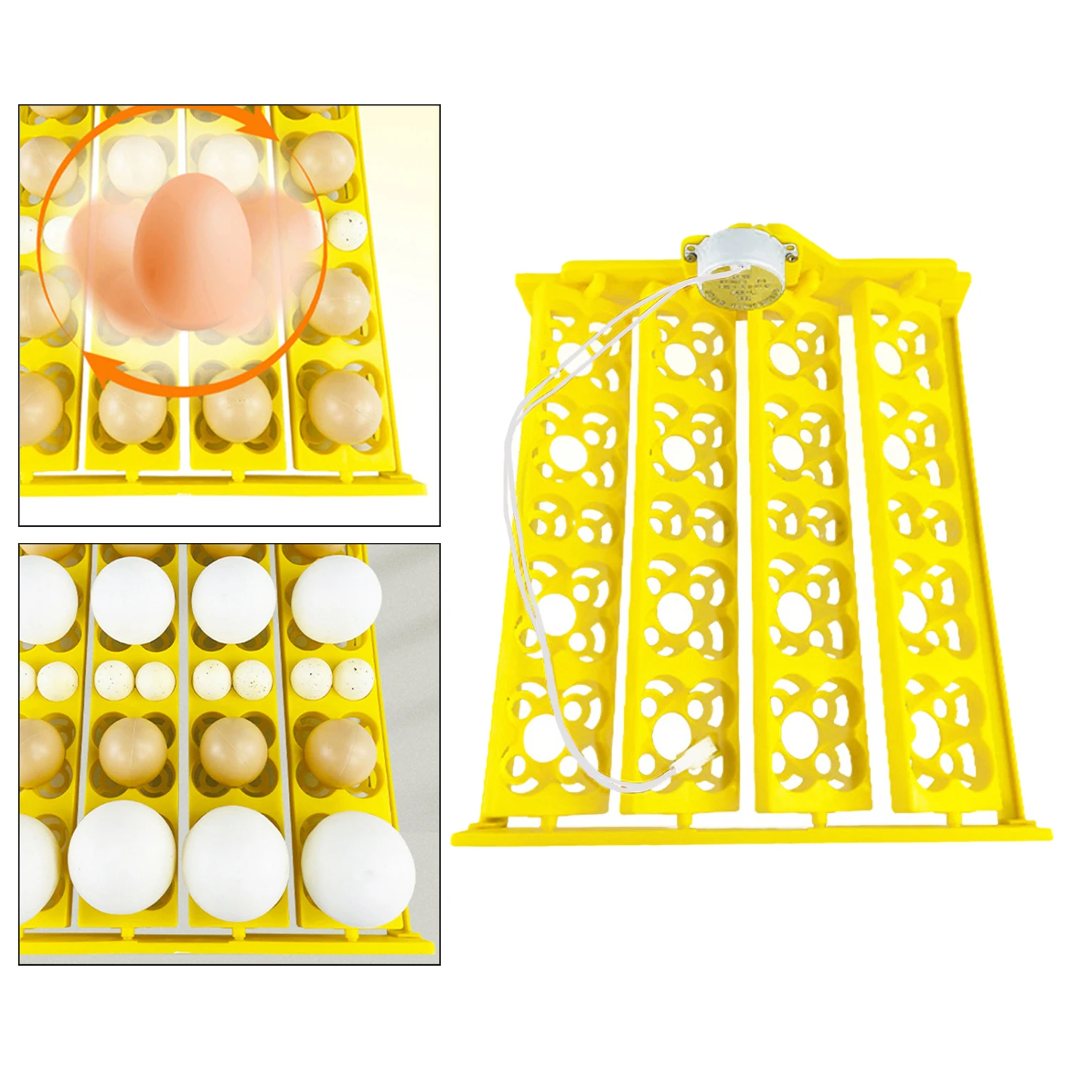 Automatic Egg Incubator Tray for Goose, Duck, Quail, and Chicken - 24 Eggs Turning Tray for Efficient Incubation - Easy-to-Use E