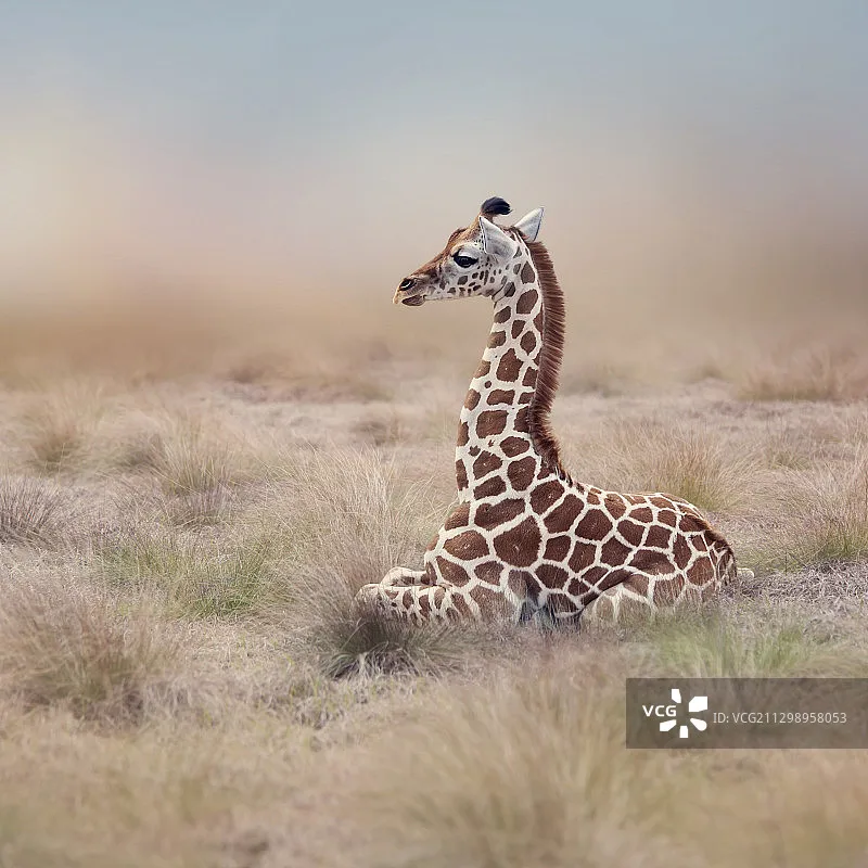 

Полетный контроллер Flywoo GOKU GN405 Nano HD 20A Stack V3 с TXCO ELRS 2.4G, Plug&Play, O4 / O4 Pro