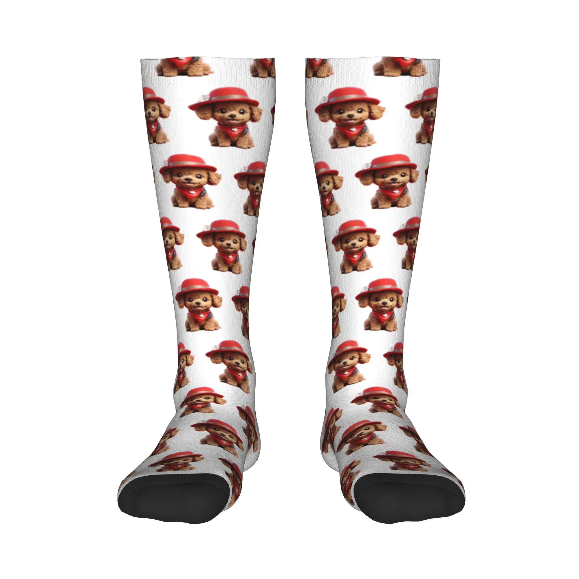 

Всесезонные чулки для экипажа, милые улыбающиеся мультяшные игрушки, собака-пудель v2, носки в стиле Харадзюку, модные длинные носки, аксессуары для мужчин и женщин