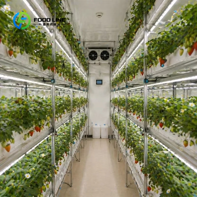 GROW ANYWHERE Hydroponic Container Greenhouse Vertical Farming System Aeroponic Strawberry Grower Smart Agriculture Equipment