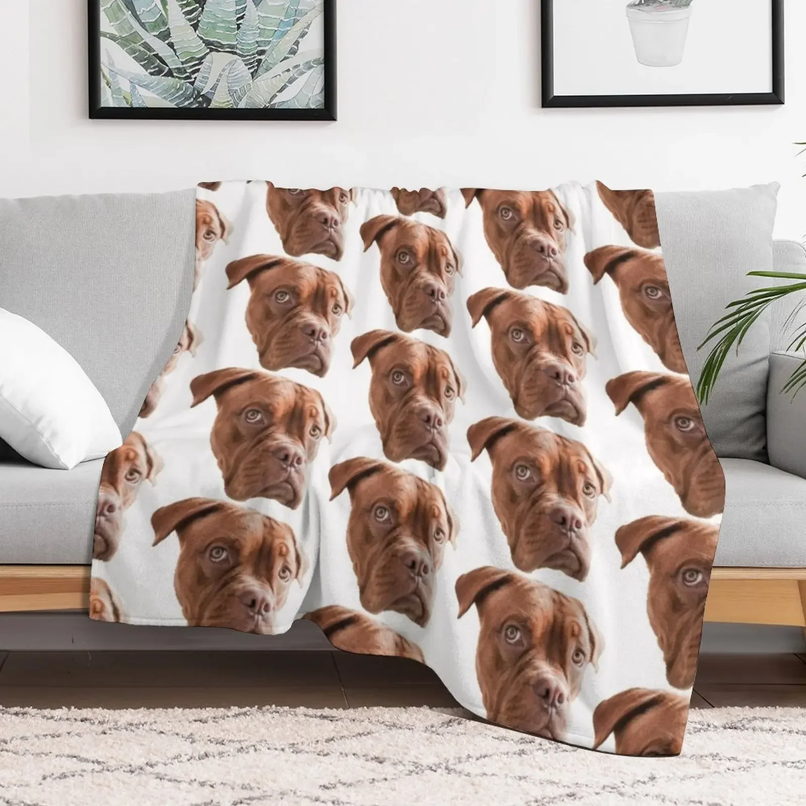 New Melancholic Dogue de Bordeaux Throw Blanket Personalized Gift Furry Blankets