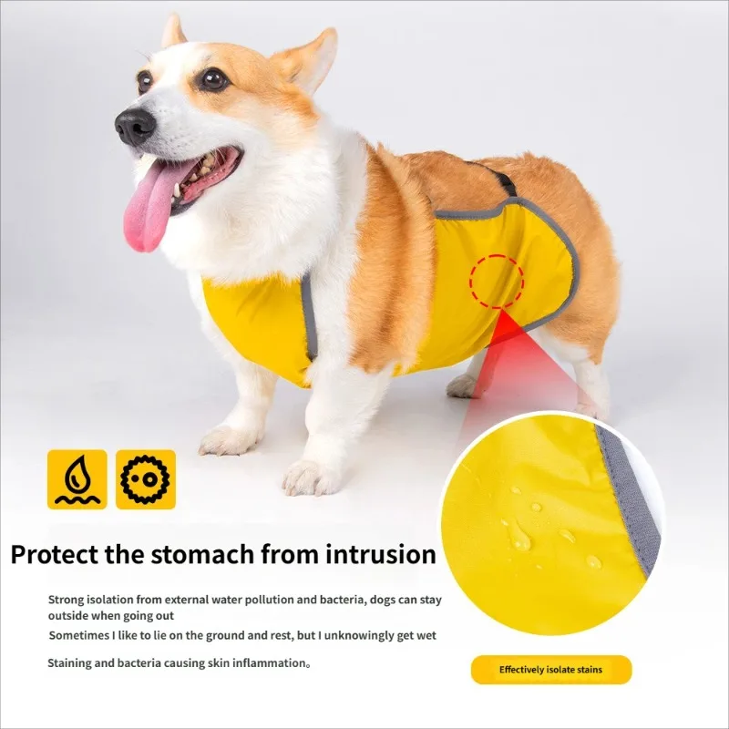 Waterproof Dog Apron, Adjustable Pet Bib, Corgi-Specific, Anti-Dirty & Washable, Solid Color Style Velcro bib to protect belly