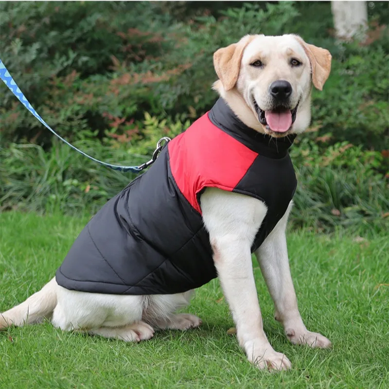 Hundejacke, warme Winterkleidung für kleine und große Hunde, Labrador-Mantel, winddicht, wasserdicht, Welpen-Kostüm-Weste mit D-Ring, Mops – Detail 5