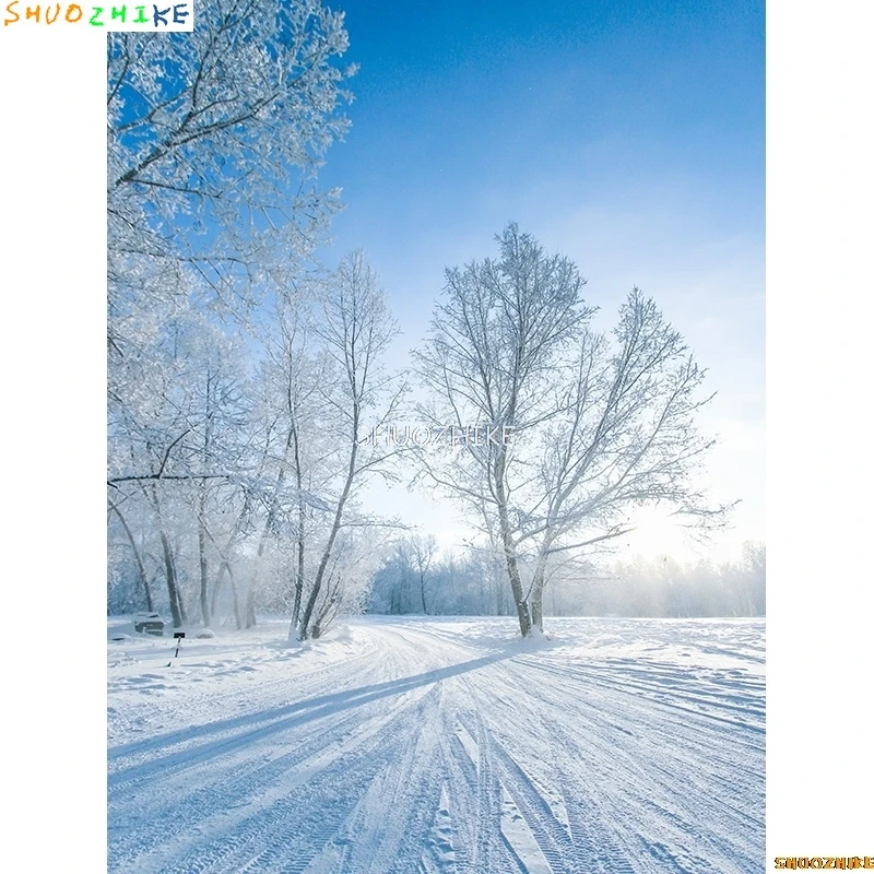 قطرات خلفية للتصوير الفوتوغرافي للغابات الشتوية ، طريق مغطى بالثلوج ، ندف الثلج ، أشجار التنوب ، خلفية الصورة ،