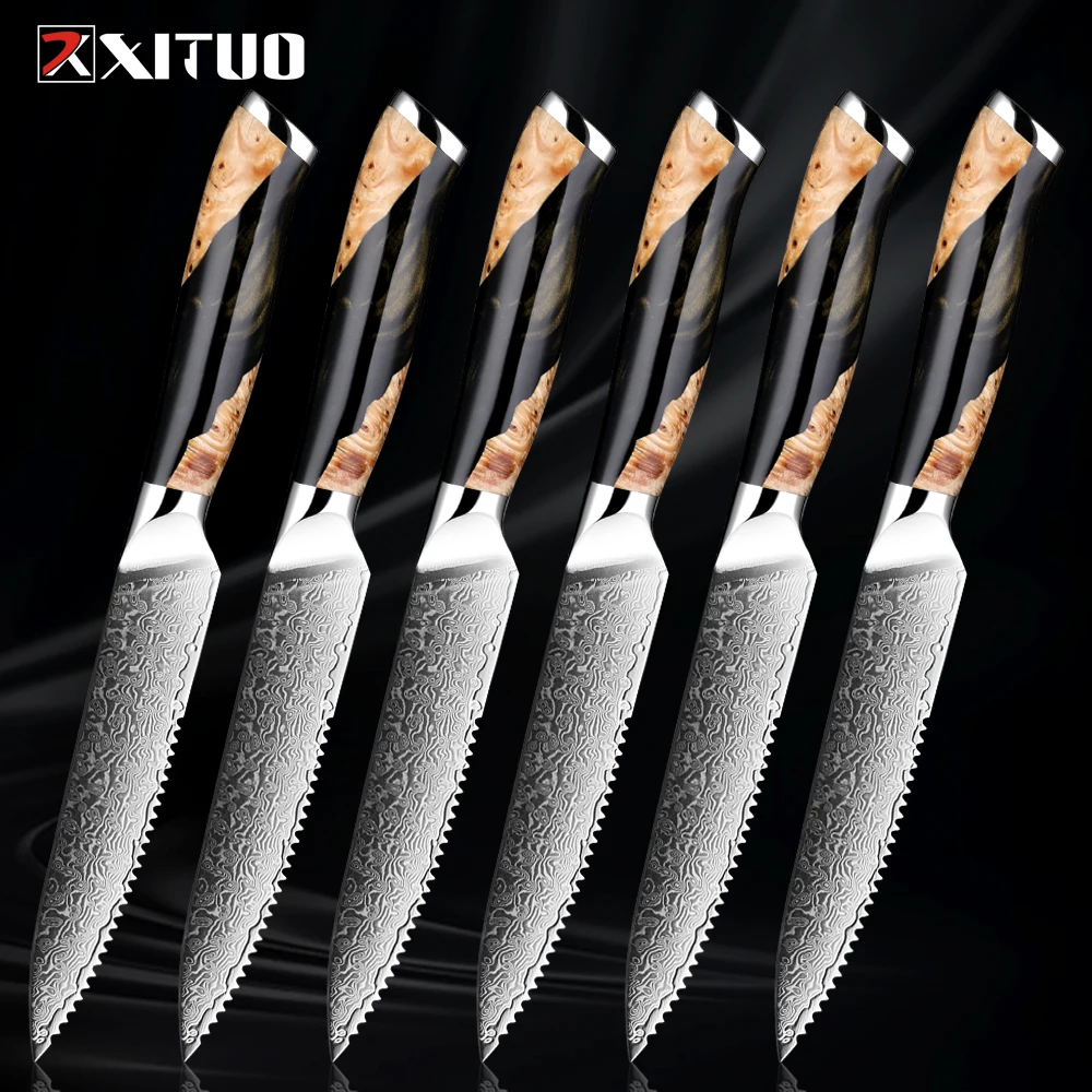 Damascus Steak Knife Set 2-6Pcs 67Layer Japanese VG10 Steel Razor Sharp Serrated Blades Black Resin&Natural Wood Pattern Handles