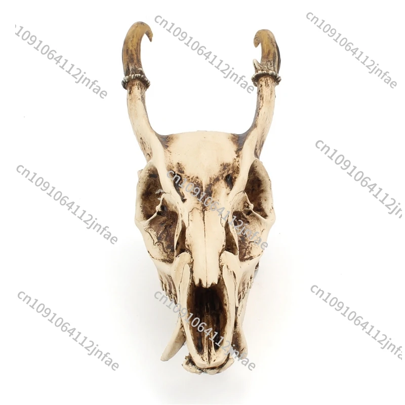 ديكور جمجمة الماعز ثلاثي الأبعاد عتيق |   تمثال حيوان ريترو للمنزل والمكتب والبار والحفلات والزينة المكتبية