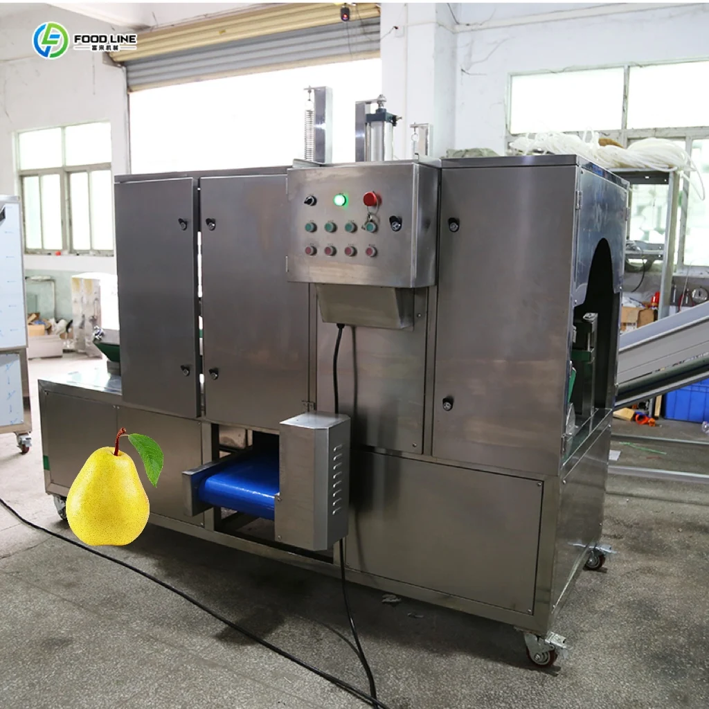 Aangepaste Meloen Fruit Peeling Machine 2025, Volautomatische Efficiëntie Cassave Wortel Gember Aardappel Wassen Peeling Machine