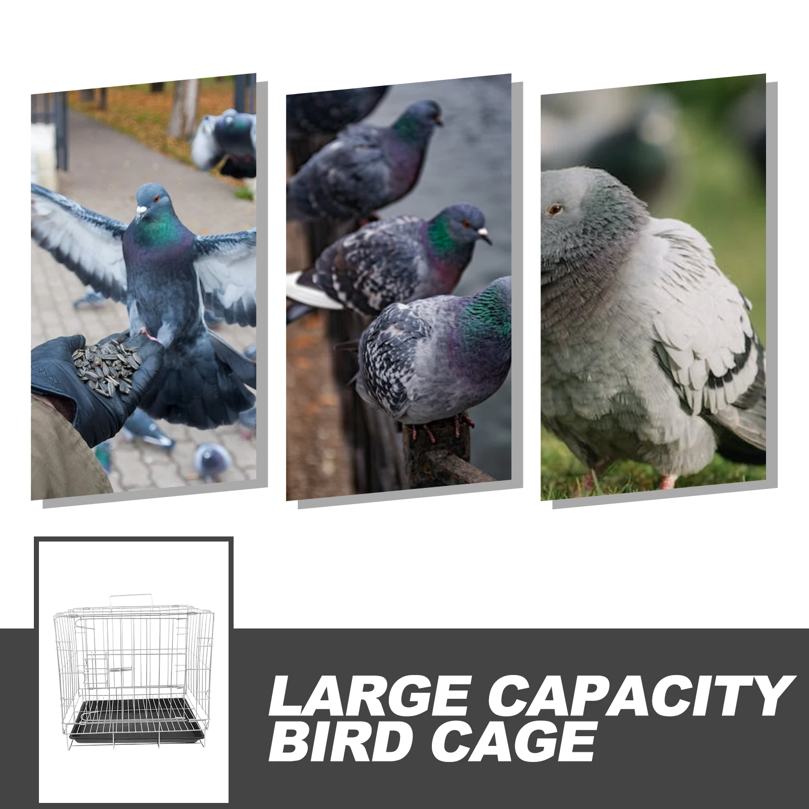 

Large Capacity Stainless Steel Bird Cage for Breeding Pigeon and Parrot with Removable Tray Secure Locking Mechanism Ideal Home