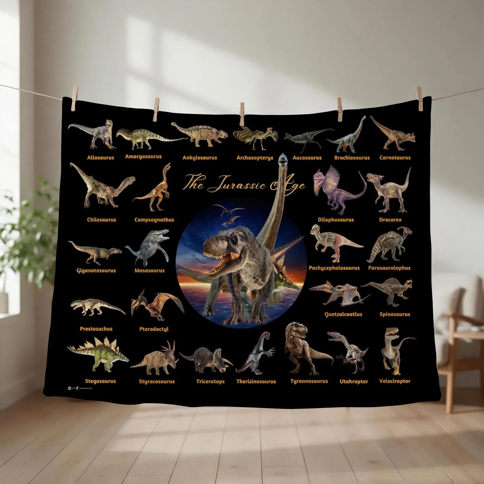 Dinosaurs: The Jurassic Age (Black Background) Throw Blanket Multi-Purpose warm for winter Hairys Hair Blankets