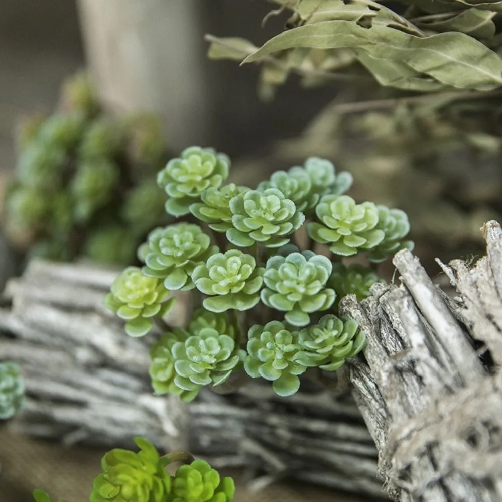 24 Heads Mini Artificial Cactus Plant Plastic Realistic Artificial Succulent Plant Real Touch Micro Landscape Decoration - Image 4