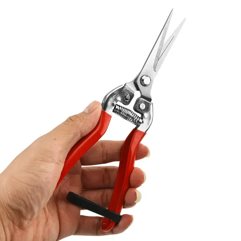 

Stainless Steel Pruning Scissors Gardening Household Fruit Picking Grape Garden Branch Pruning Tools