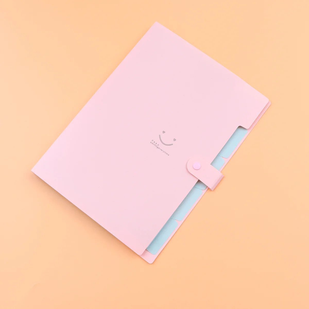 Cartella di file A4 da 2 pezzi in plastica multistrato con pagine inserite, organizer per documenti leggero per cartella di file A4 per casa, ufficio scolastico