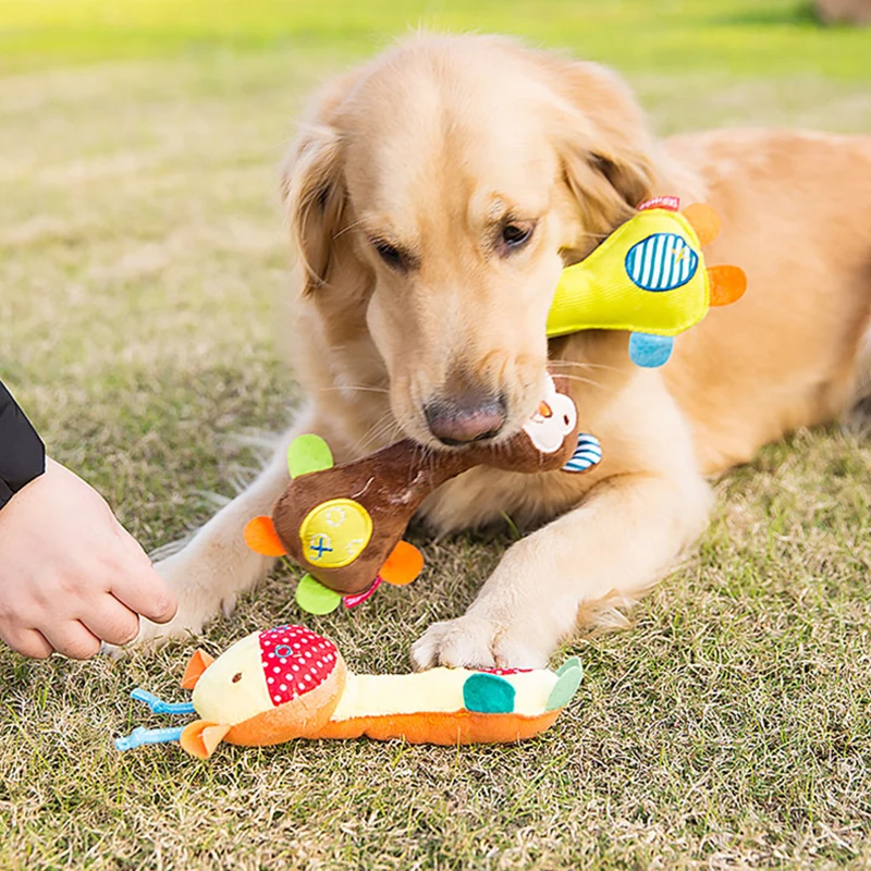 Puppys Chó Đồ Chơi Cắn Răng Teeths Răng Hàm Dính Gấu Corgi Bông Chó Nhỏ Đồ Cho Thú Cưng Chó Con Thảm Chơi Disengagement Ma Thuật Kết Hợp