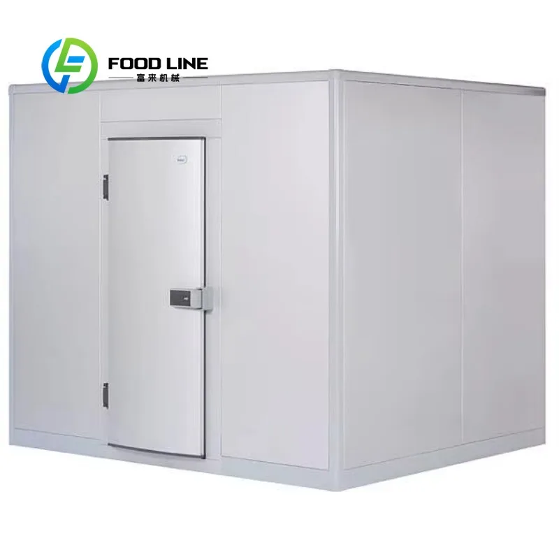 Customize Small Medium Large Size Cold Storage Room Walk in Chiller Freezing Blast Refrigeration for Fresh Meat