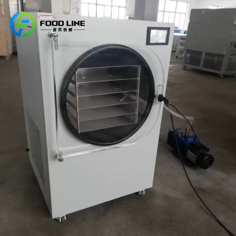 Cheap Homemade Lyophilizer Machine Price Vacuum Home Mini 4kg 6kg 8kg Fruit Vegetable Freeze Dryer Dry