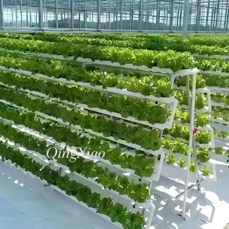 Vertical Hydroponic Growing System Indoor Vegetable Planting Rack for Greenhouse Farm Garden Commercial Cultivation