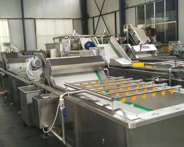 Industrial Fruit Washer apple Washing Machine Commercial Fruit and Vegetable Washing Machine