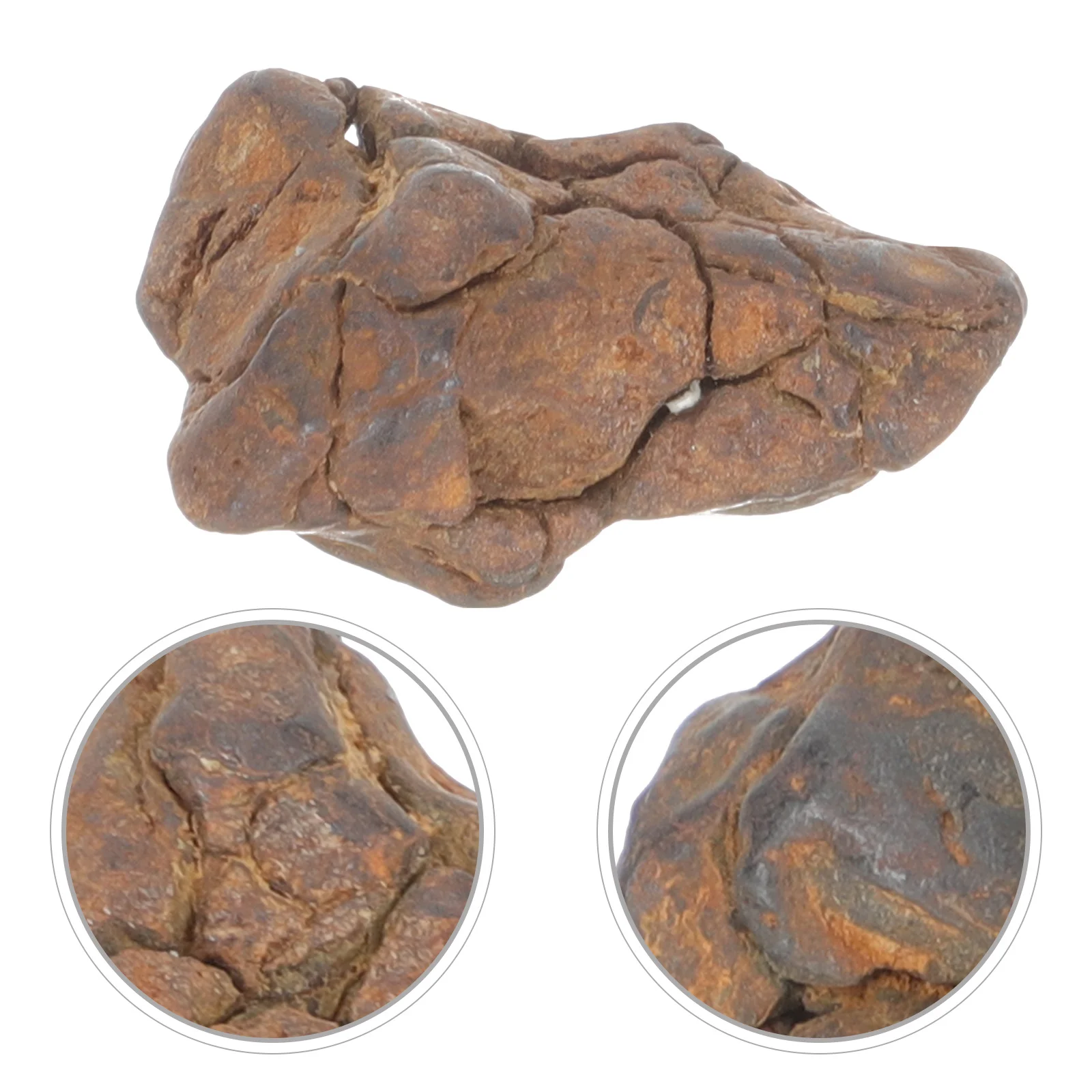 

Premium Meteorite Specimen Natural for Teaching Science Experiments Desktop Adornment Gift for Who Love