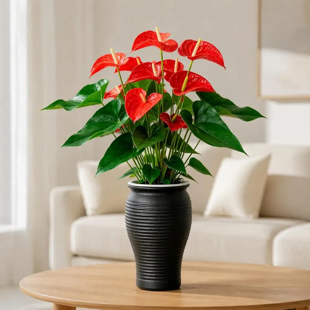 Capacity Plant Container Self Watering Planter Pot with Removable Ribbed Flower Container for Indoor Outdoor Plants Modern Plant