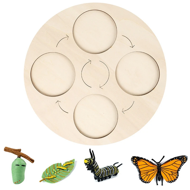 

New Butterfly Life Cycle Board Set Lifestyle Stages Kids Teaching Tools Animal Growth Cycle Educational Toys