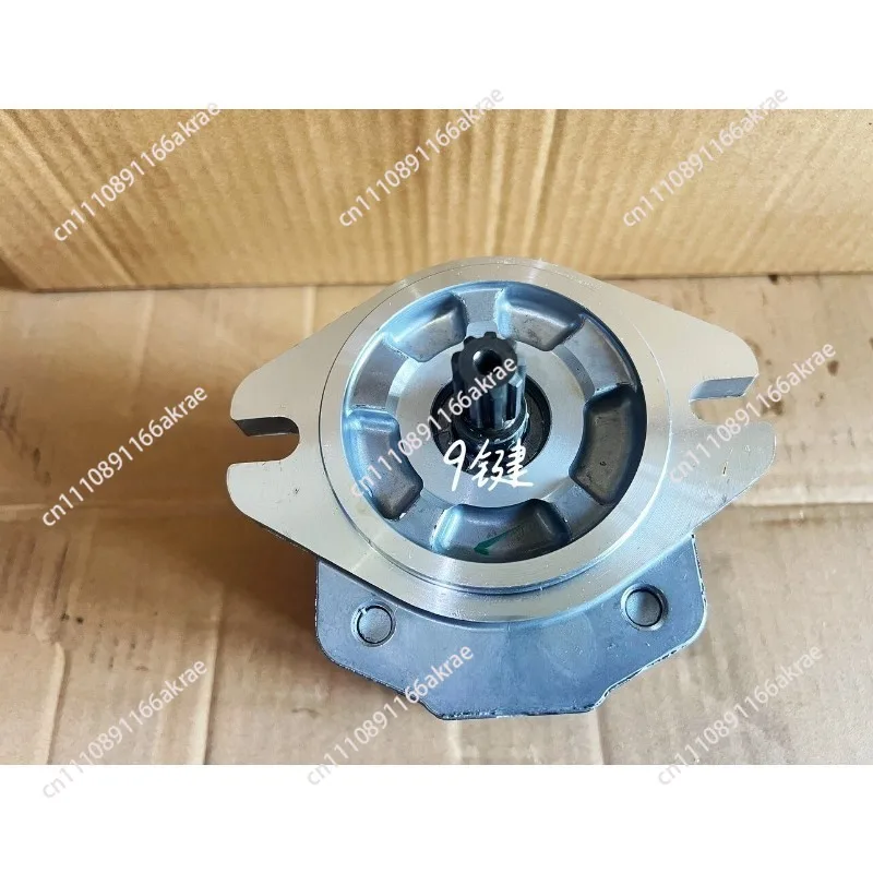For Roller Vibration Motor Lingong Vibration Pump BMW Shantui Original Hydraulic Parts Not Brand New