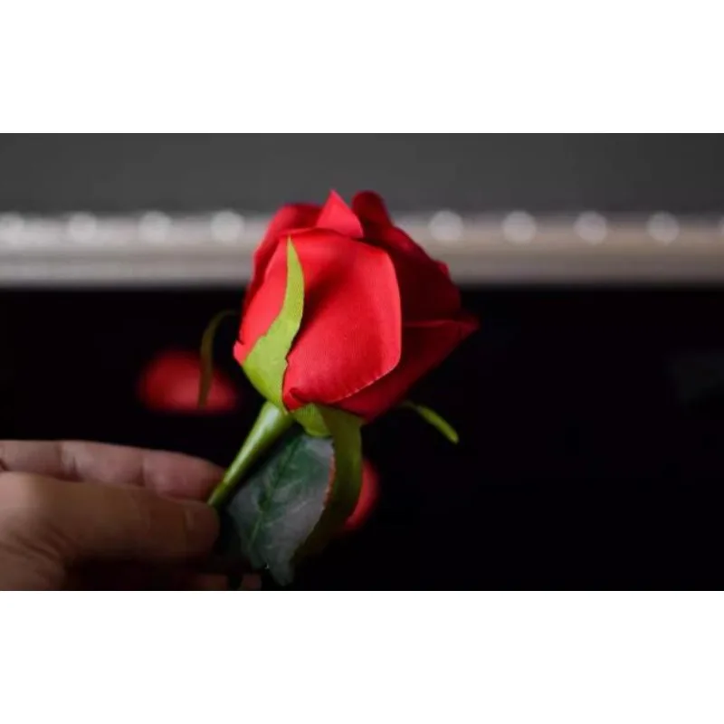 خدعة سحرية للورد والعملات المعدنية تظهر العملات المعدنية من البتلات عن قرب المرحلة الوهم للتحايل دعائم ماجيا مضحكة #3