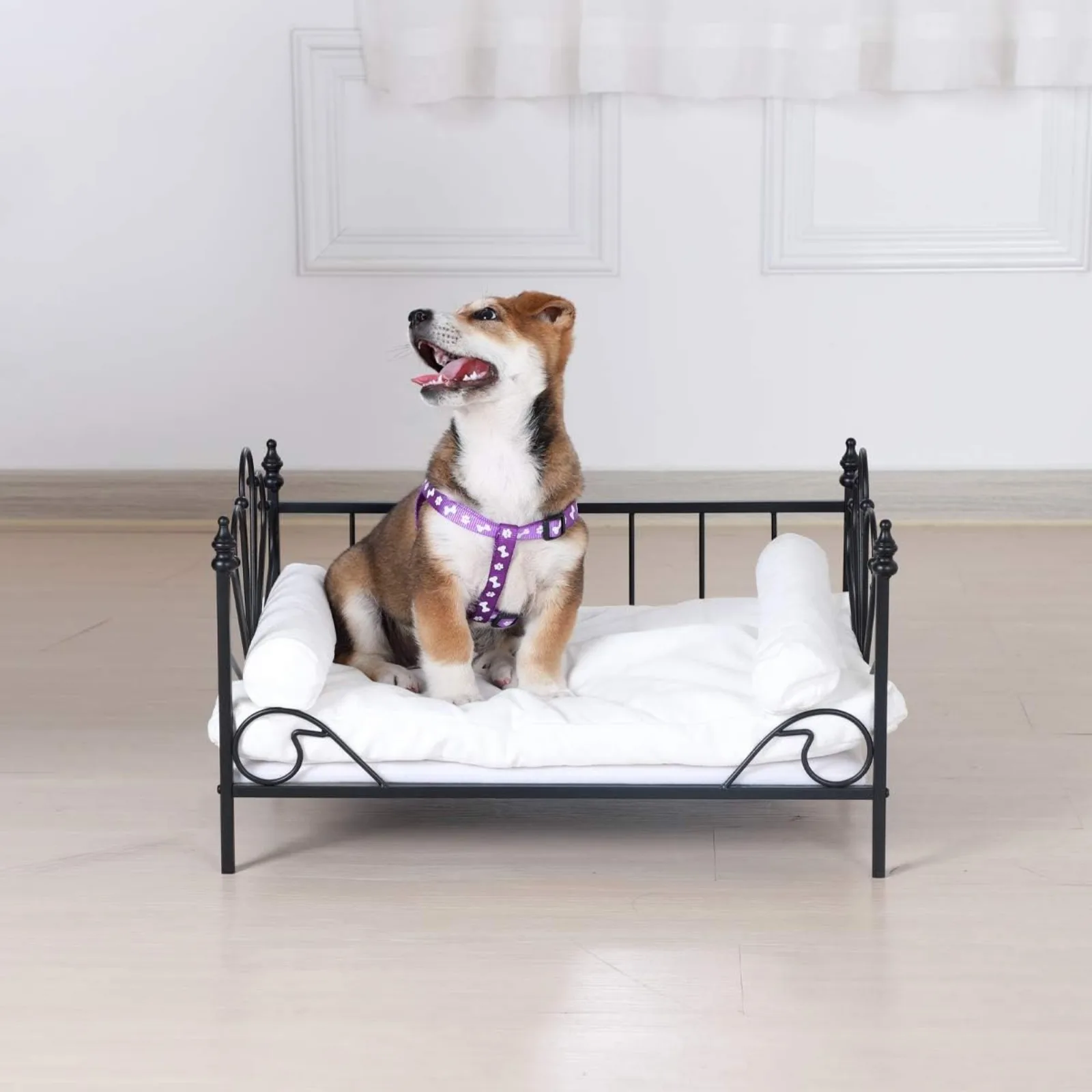 US Bed for Dog, Pet Couch Bed with Metal Frame and Detached White Velvet Cushion with 2 Pillow for Small Pet