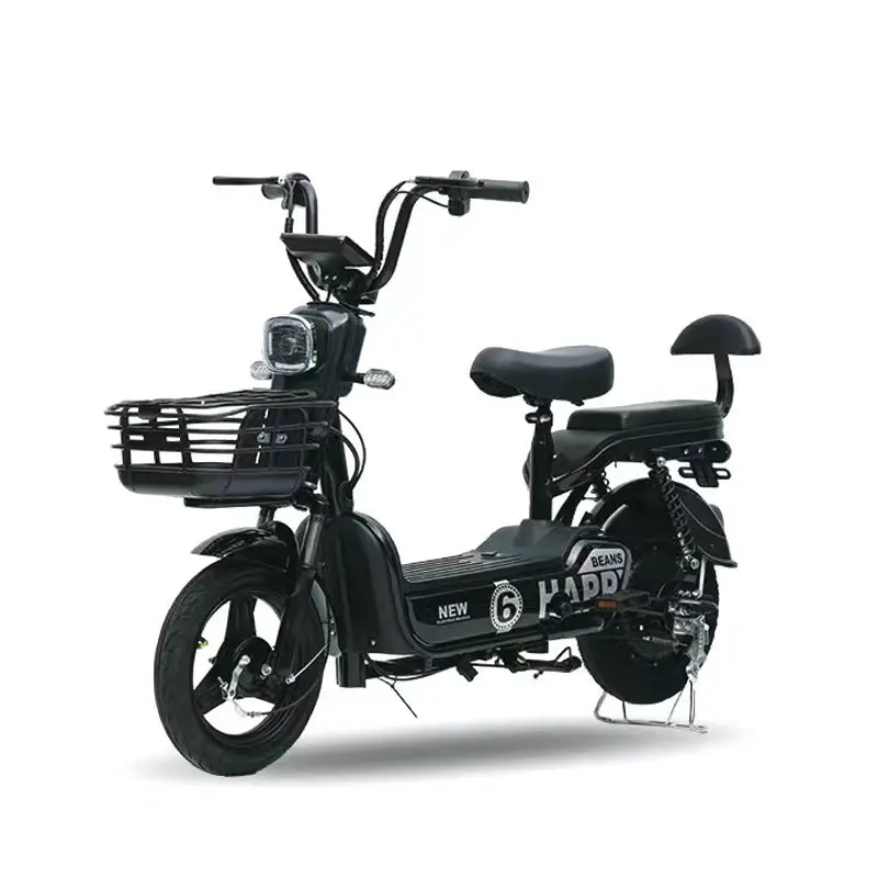 

Two-wheeled electric bicycle