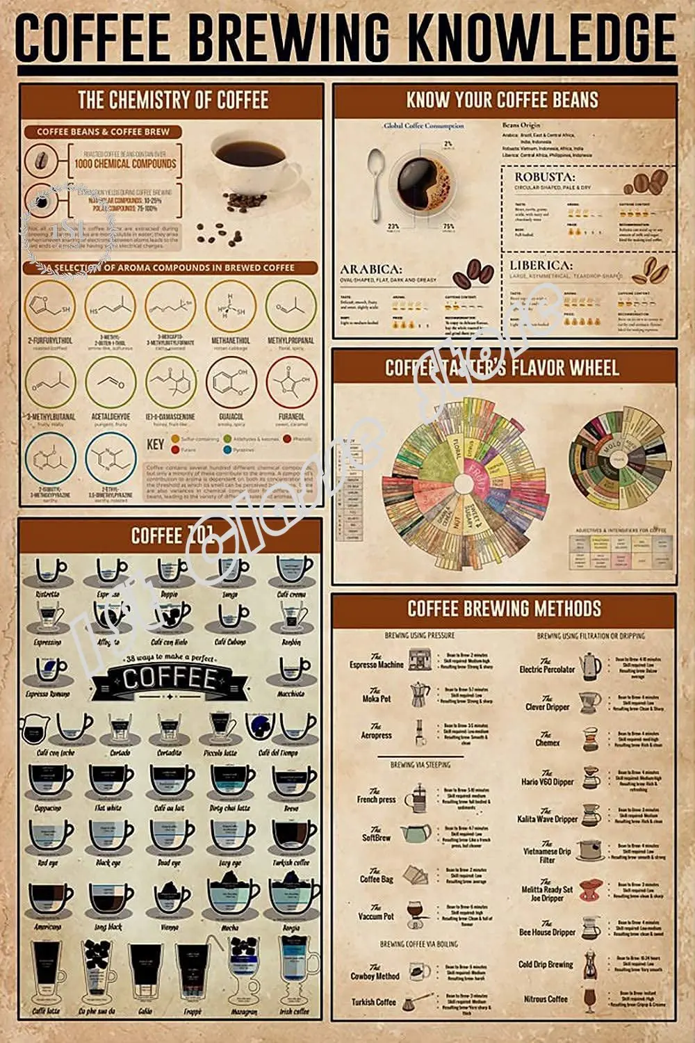 Barista Knowledge Metal Tin Sign Barista'S Basic Infographic Poster for Coffee Shop Home Kitchen Bar Club Plaque 8x12