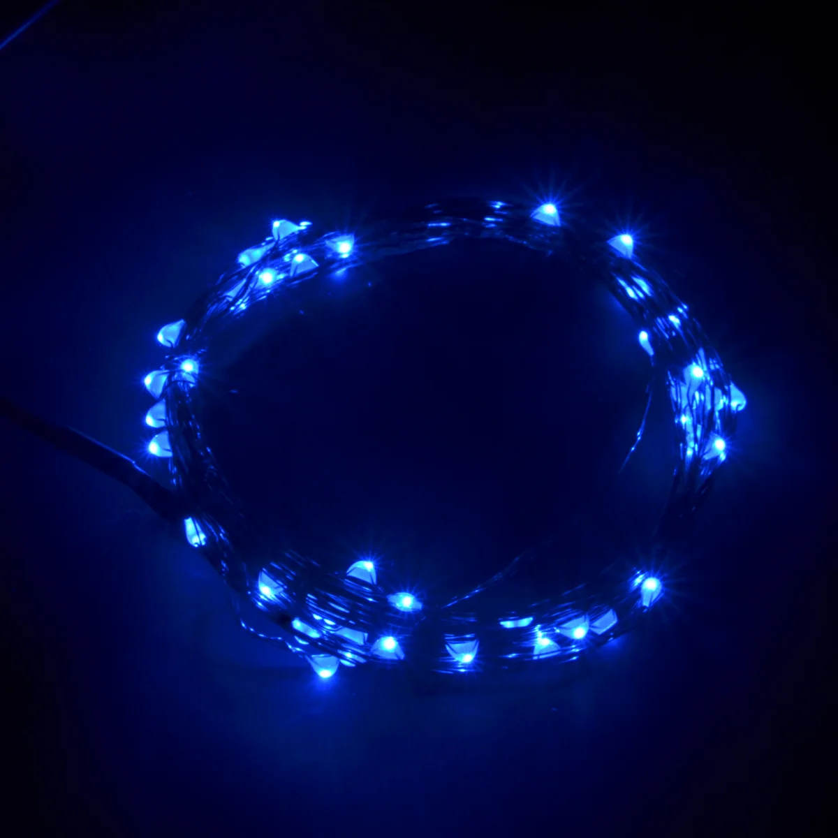 

Blue 10m Dc 12V LED String Light Water Resistant Safe Energy Saving for Holiday Art Making Decoration LED String Light
