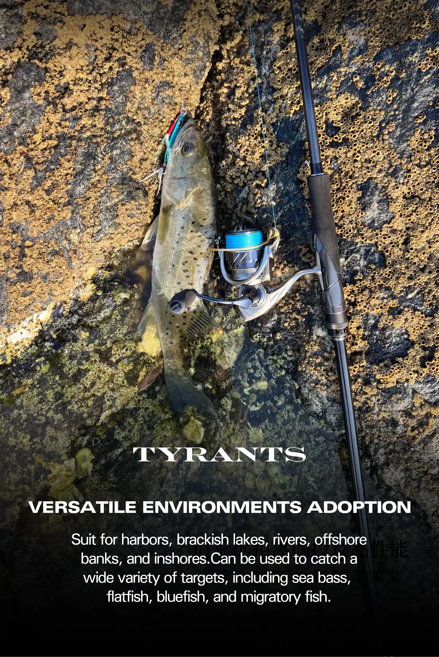 TSURINOYA Inshore Spinnrute TYRANTS S802M S902M S962M S962MH 2-teilige Carbon-Angelrute Hochfester Seebarsch Barracuda – Detail 17
