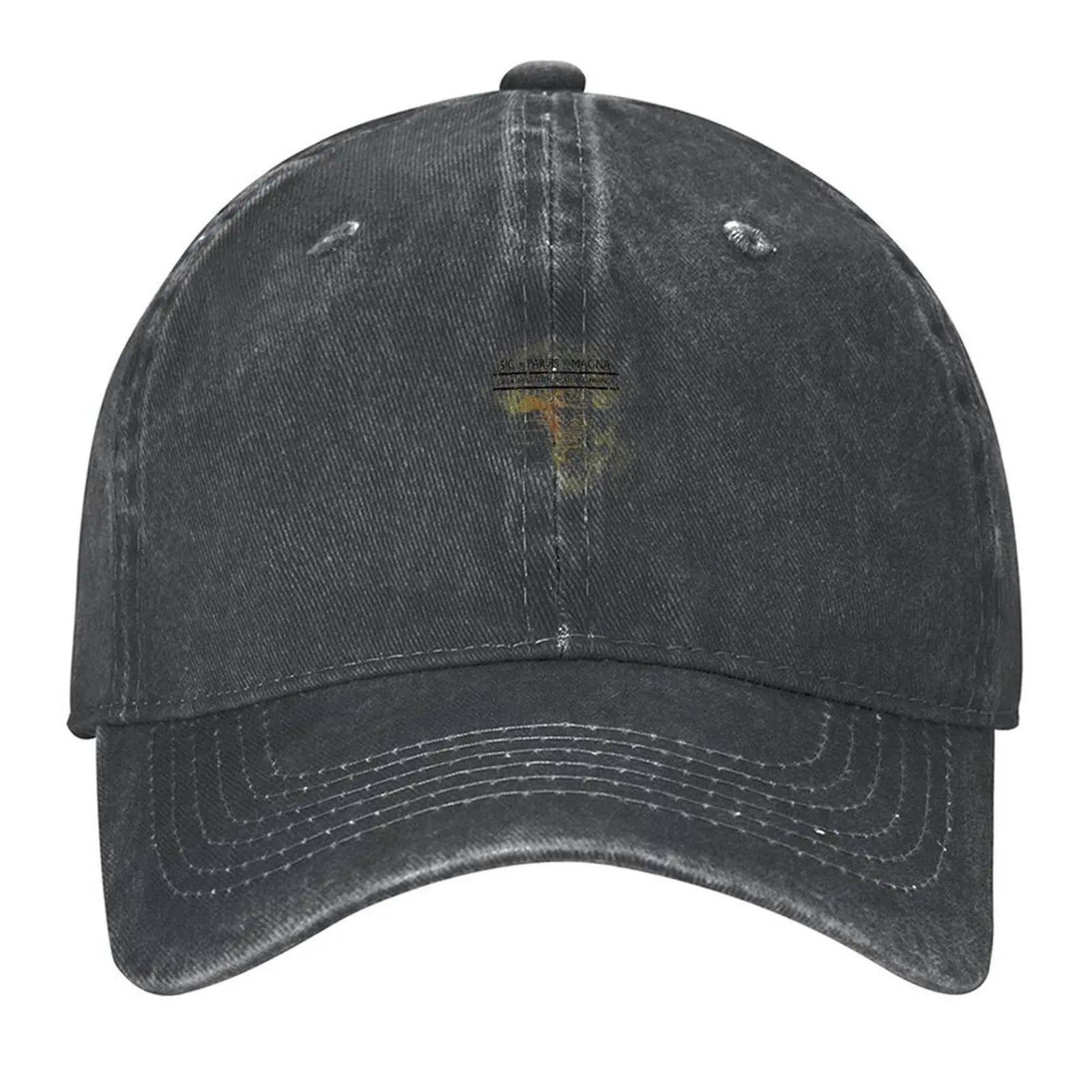 

UnchartedSIC PARVIS MAGNA Baseball Cap Hat Luxury Brand Military Cap Man summer hat Streetwear Men's Hats Women's