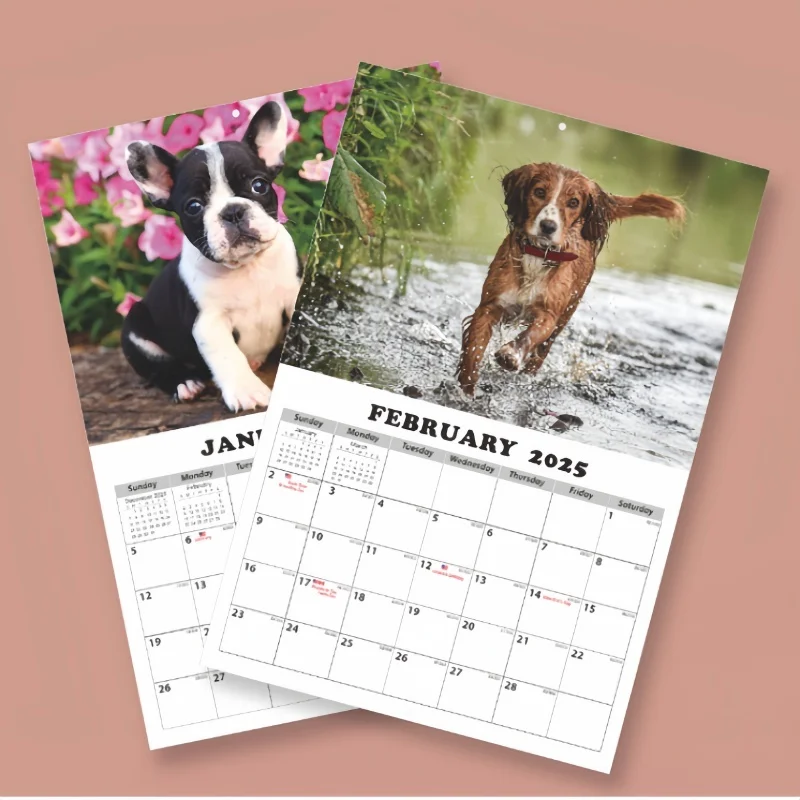 Neues Jahr 2025, lustiger Hund, Katze, Capybara, Wandkalender, Tier-Memo-Wandkalender, niedlicher lustiger Tierkalender, Wandkalender im Geschenkstil