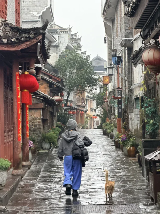 

Best Portable d 808 Diode Laser Hair Removal Machine Permanent Portable 808 Hair Removal Lifetimes Laser Epilator Beauty Machine