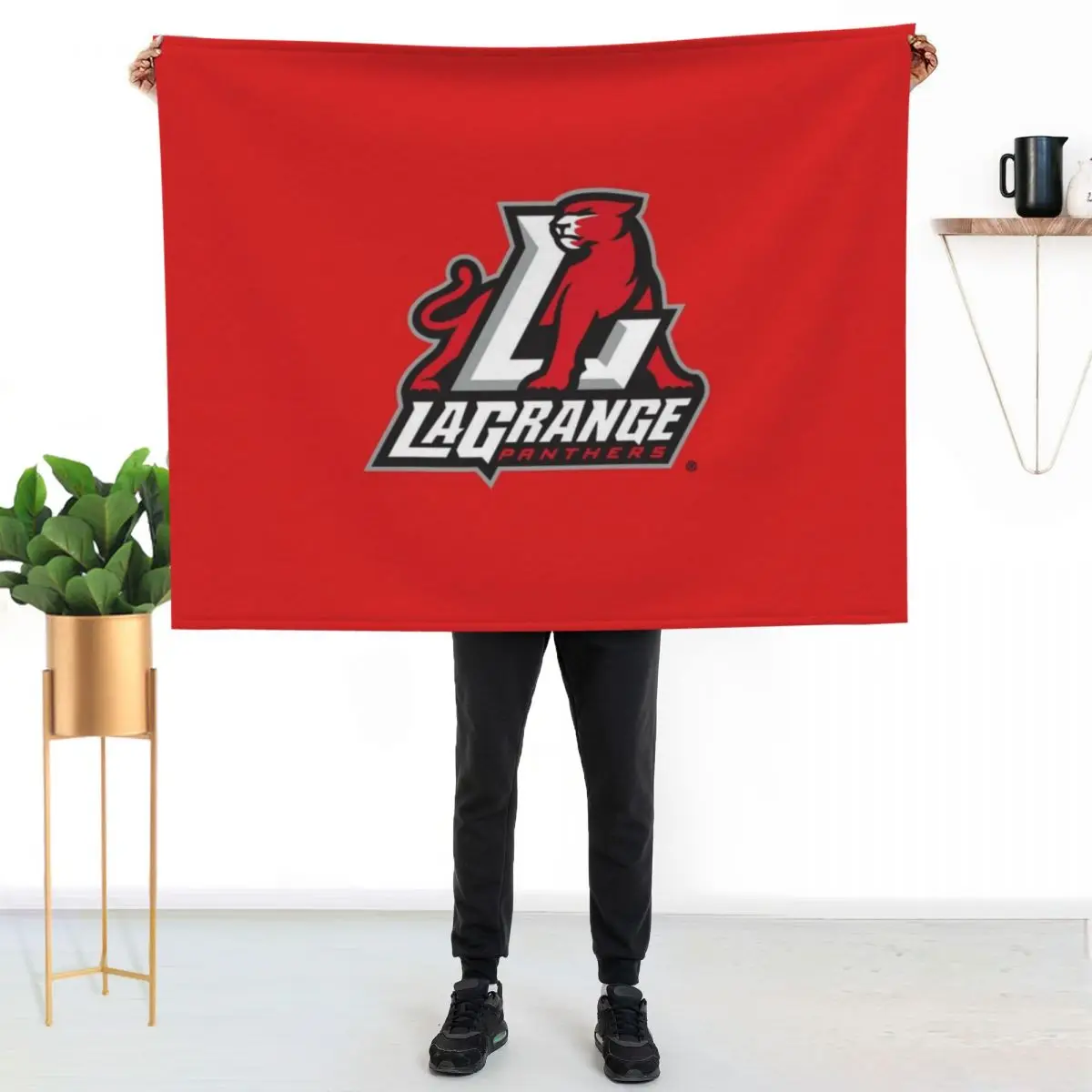 

Panthers Lagrange Throw Blanket Elegant Warm Throw Blanket for Hotel Home