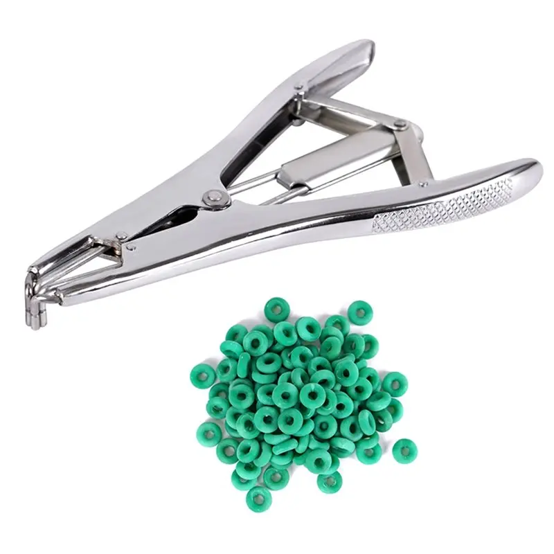 Abby-Farm Animal Bl…