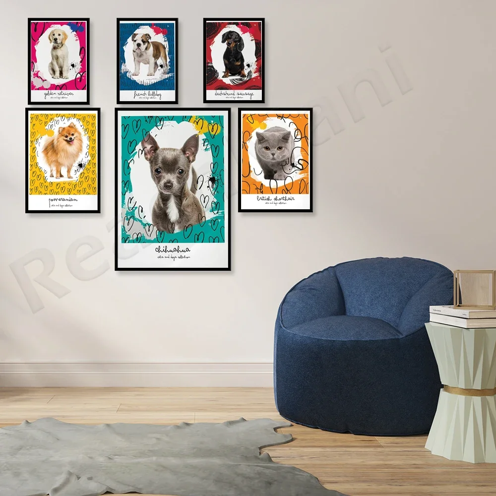 Pomeranian, chihuahua, golden retriever, border collie, dachshund, french bulldog, british shorthair, maine coon animal poster