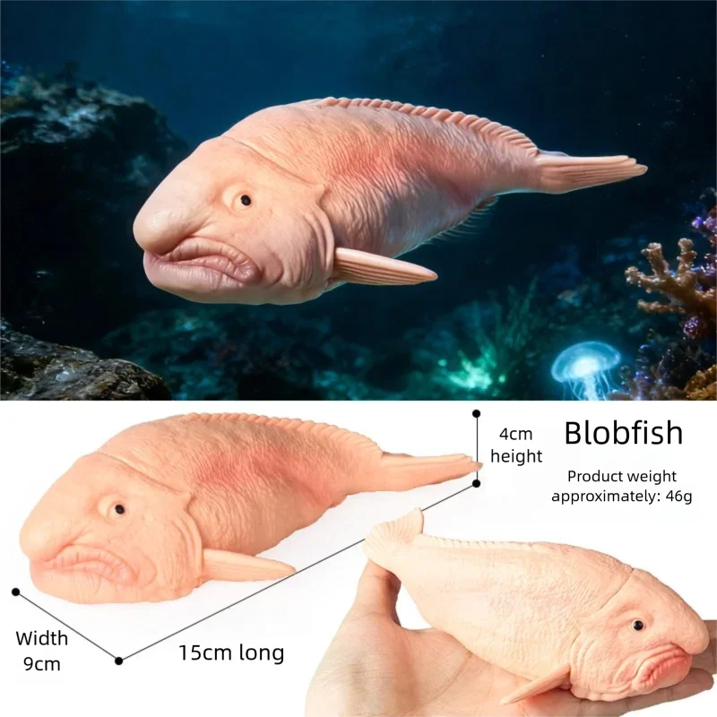 Realistische Meerestier-Figur Tiefsee-Kreaturen-Modell Ozean-Fisch-Figuren Blobfisch-Sammlung Geschenk-Dekoration – Detail 5