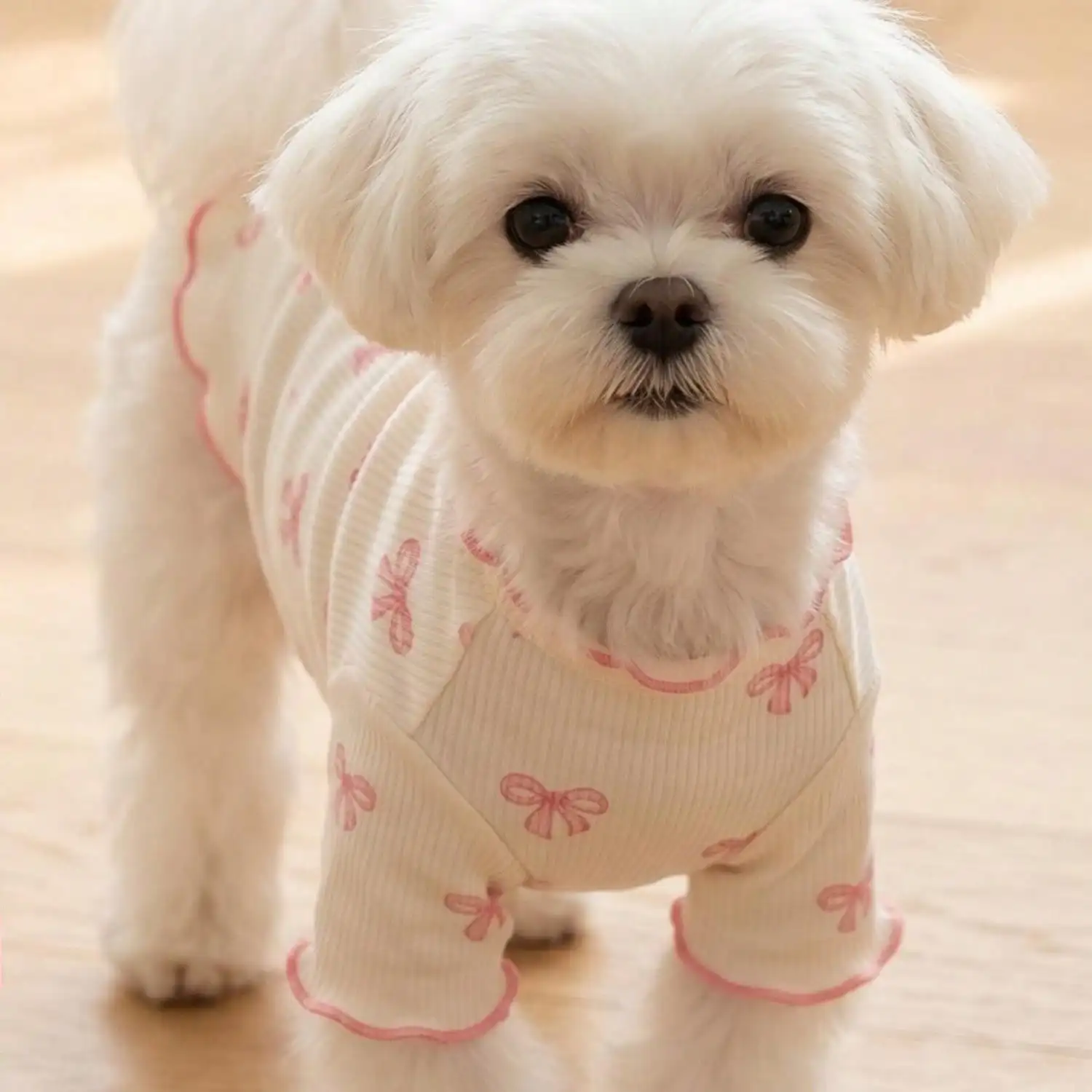 Geripptes Haustier-T-Shirt mit Herz- und Schleifendruck und Rüschenbesatz für kleine Hunde und Katzen – Detail 5